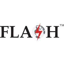 Flash logo